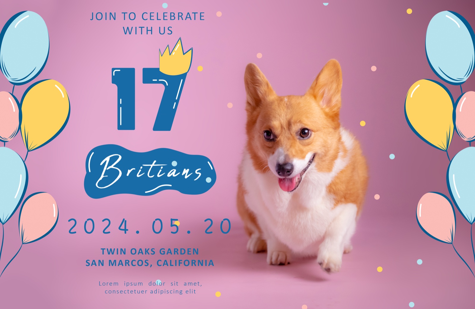 毛孩生日派對氛圍