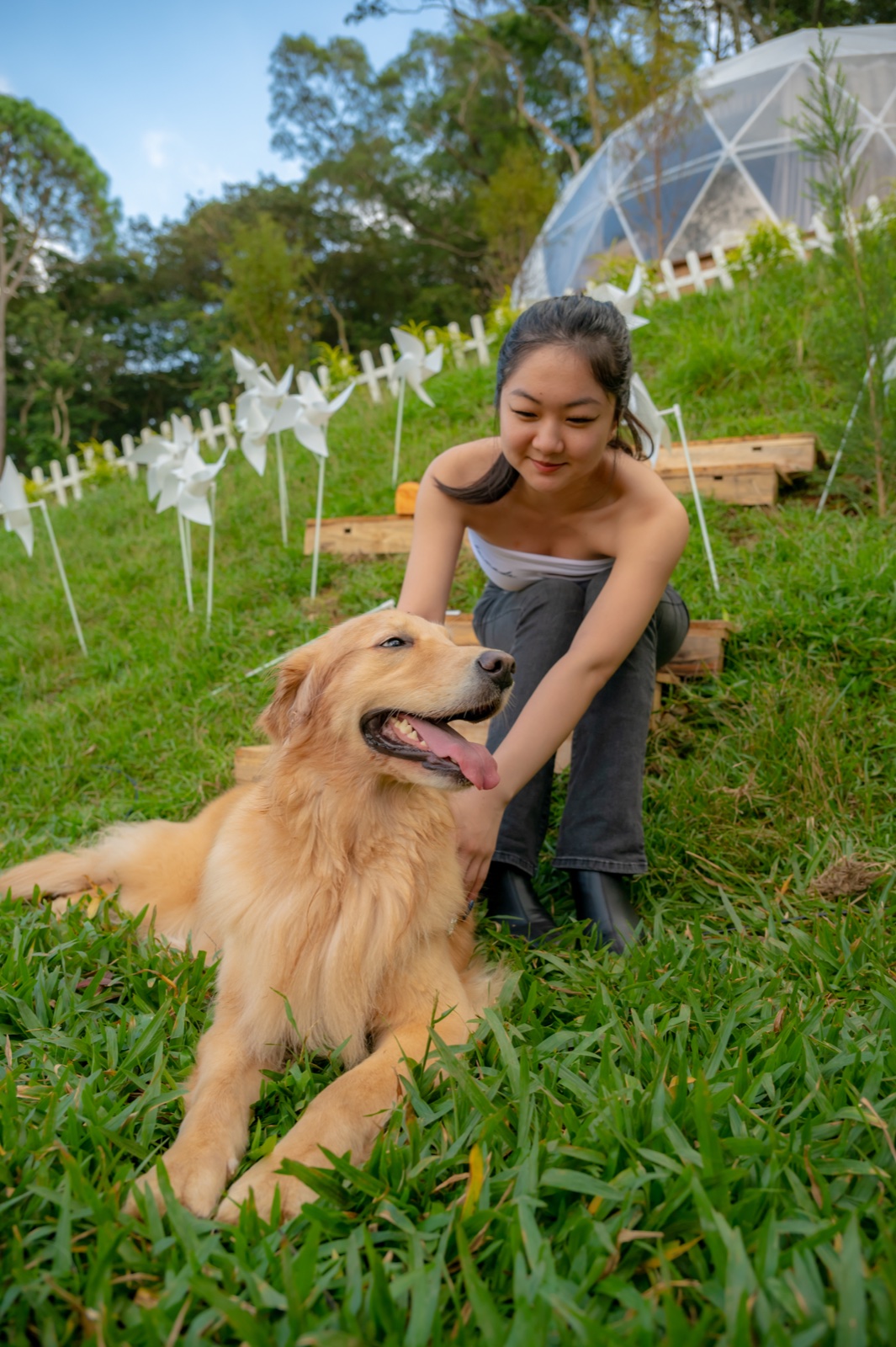 草地奔跑與互動