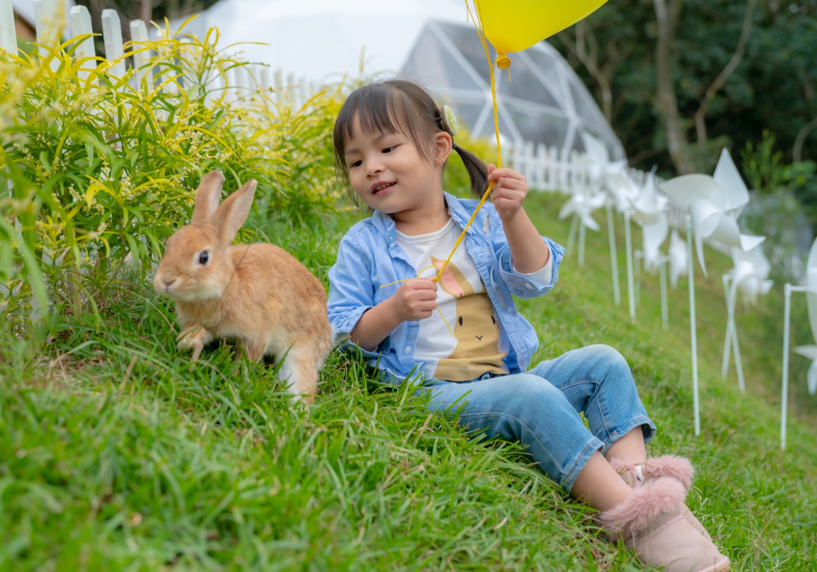草地親子寵物互動