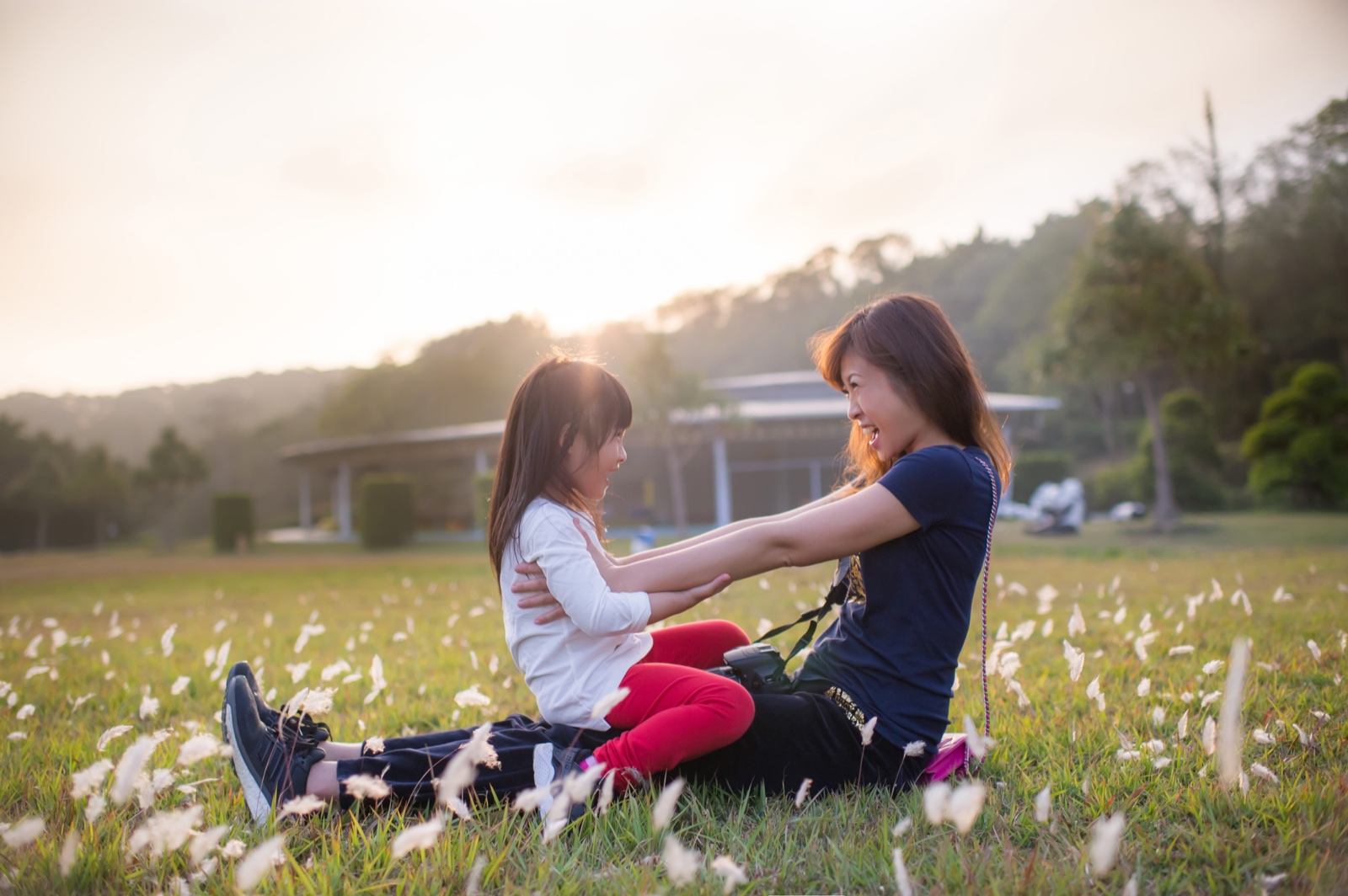 自然光與夕陽場景